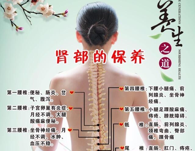 南寧美容培訓(xùn)：腎部保養(yǎng)銷(xiāo)售話術(shù)
