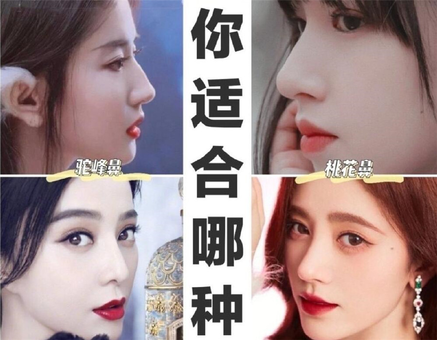 世界公認好看的鼻形，你喜歡哪一款？