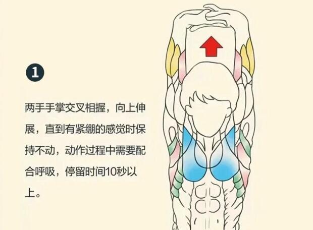 南寧美容師培訓要學什么？背部護理就是其中一項