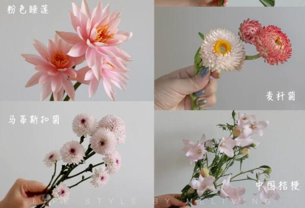 認(rèn)識常見花朵的名稱，廣西插花學(xué)?；ㄋ嚺嘤?xùn)基礎(chǔ)