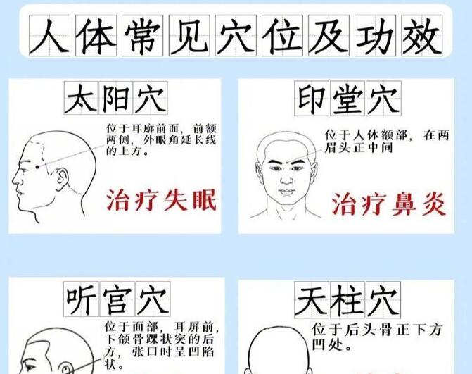 人體常見穴 位及功效，廣西專業(yè)正規(guī)美容學(xué)校講解