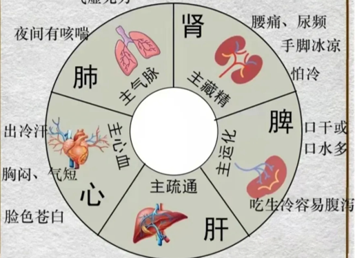 人體不同部位受寒的表現(xiàn)，廣西中醫(yī)美容培訓(xùn)分享