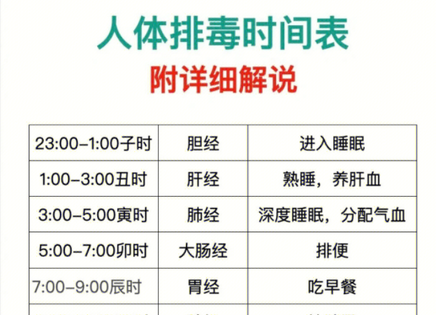 人體排毒時間表，南寧美容專業(yè)學校詳細解說