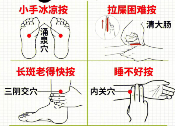 女性如何養(yǎng)生調(diào)理 ？南寧中醫(yī)美容培訓(xùn)分享