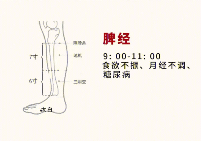 日常容易堵塞的身體部位，廣西美容基礎教學
