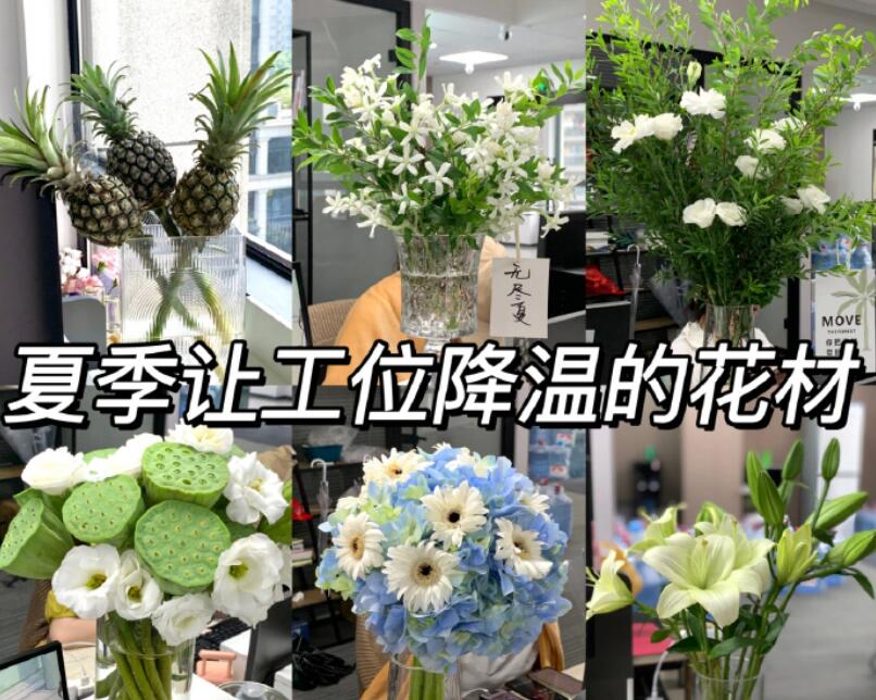 自帶降溫效果的花材，廣西學(xué)鮮花技術(shù)