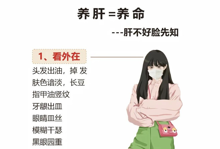 南寧學健康美容：如何正確養(yǎng)肝？