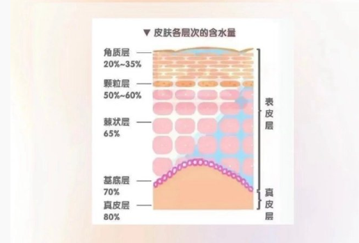 皮膚越補(bǔ)水越干？廣西美容護(hù)膚中心分析原因